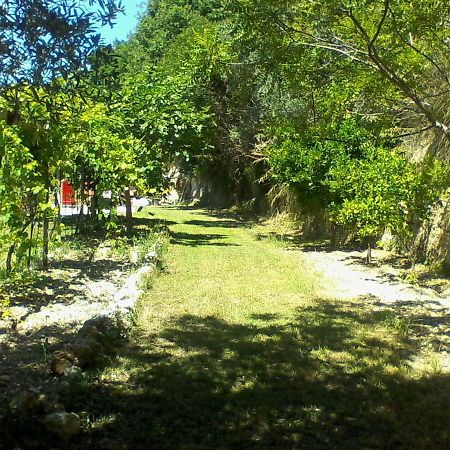 The Country Path B&B Toffia Dış mekan fotoğraf