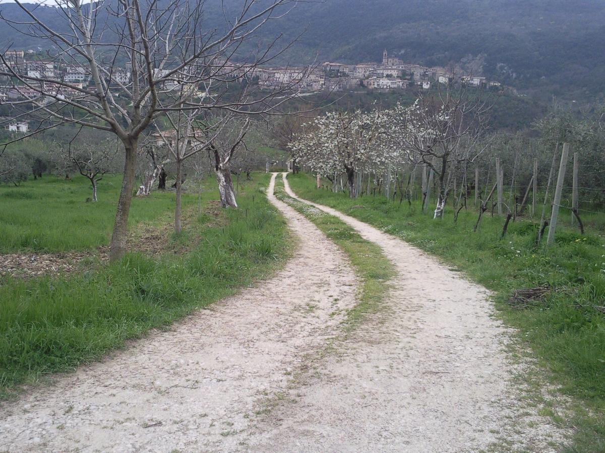 The Country Path B&B Toffia Dış mekan fotoğraf
