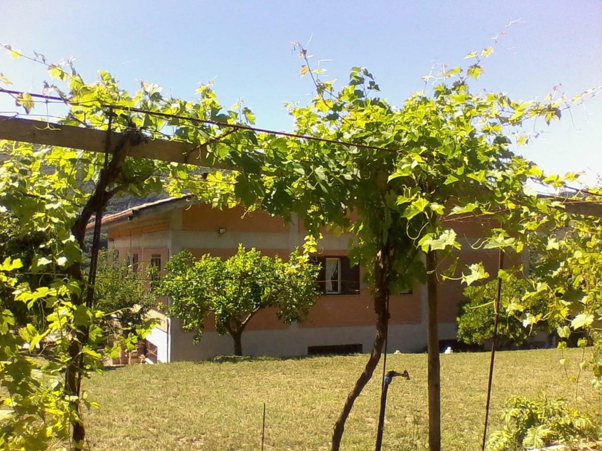 The Country Path B&B Toffia Dış mekan fotoğraf