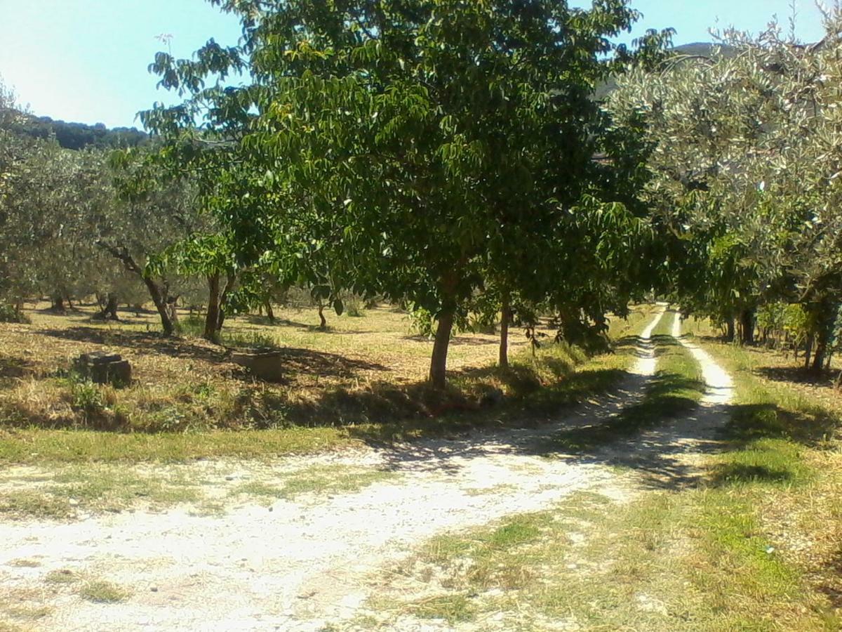 The Country Path B&B Toffia Dış mekan fotoğraf